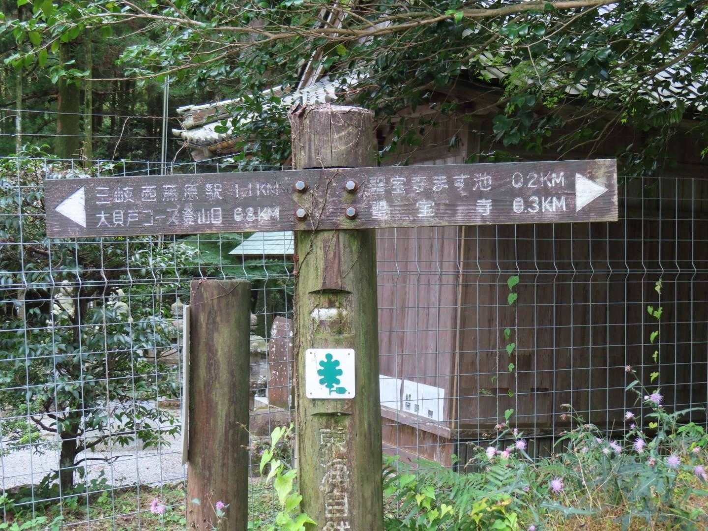聖宝寺-藤原岳 往復コースの写真