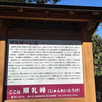 坂東三十三観音を繋ぐ道は順礼往来。
昔の道を辿りながら結願目指したい。