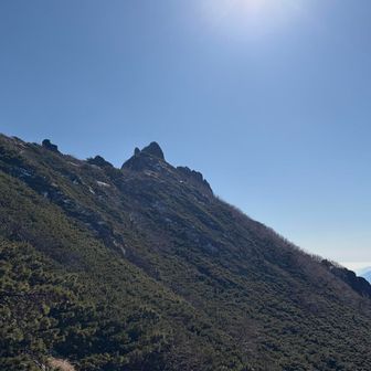 下山中の権現岳