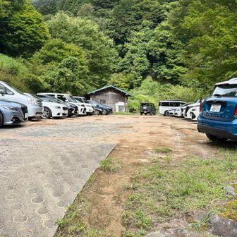 満車で停めるところがありませんでした…（祝日8時到着）
