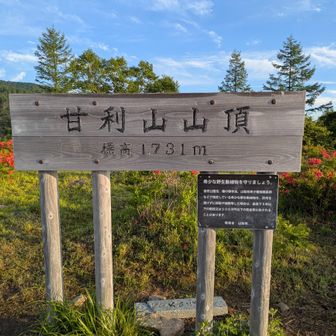 山梨百名山です…
が、花の百名山でないのが不思議です