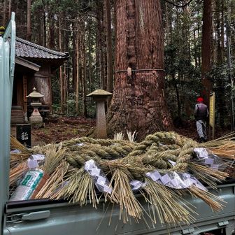 稲島の大杉の新しいしめ縄のようです
この次来た時は新しくなってるかな？
楽しみ😊