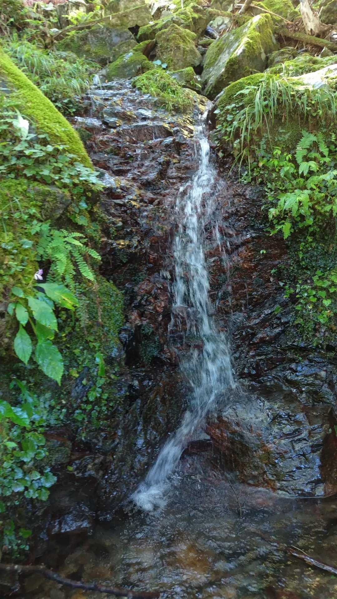 【みたらい渓谷】世界遺産の山懐を流れる滝と清流に癒されるの写真