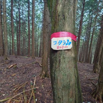3rd
コタラ山
