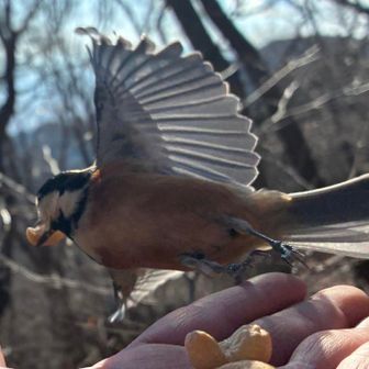 飛び立った瞬間✨