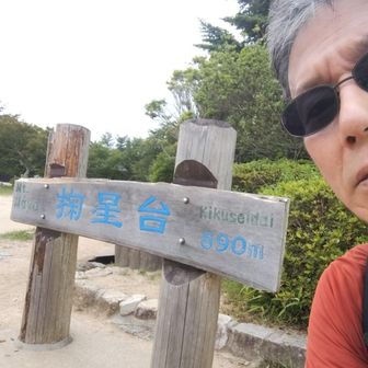 稲妻坂上がってると、お母さんに連れられた小学校５年生の女の子も登攀。途中でお母さんをぶっちぎってました（唖然）。あと須磨から六甲山縦走トレランの５人組。暗くなる前に宝塚へとのこと。頑張れ！