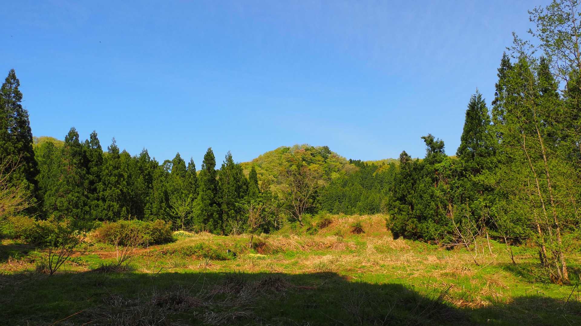 城ヶ平山大岩側登山口-城ヶ平山-城ヶ平山登山口-おおかみこ 周回コースの写真