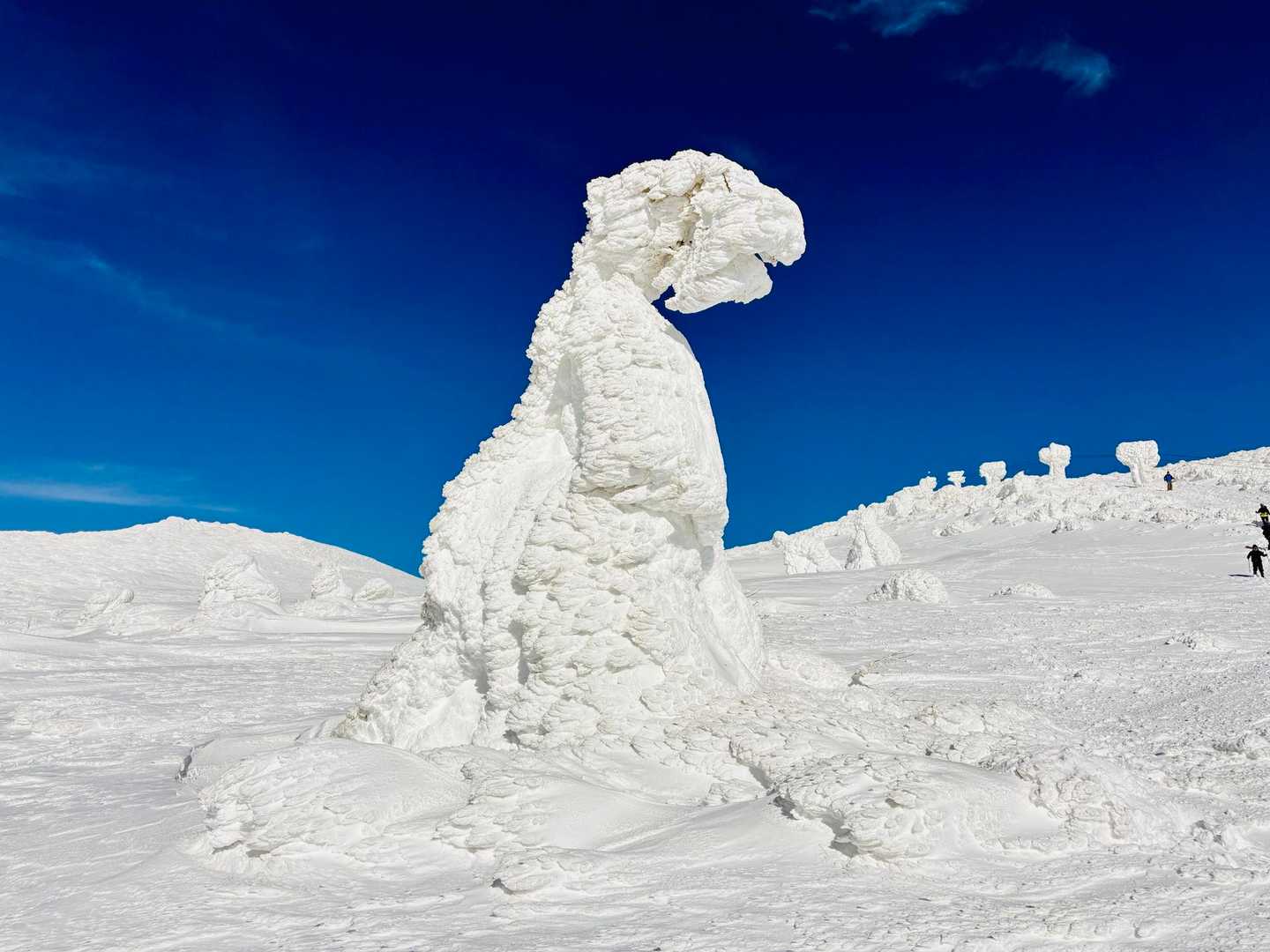 GODZILLA⋆͛🦖⋆͛