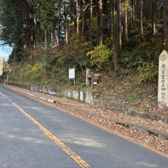 しばらく歩道を歩くと