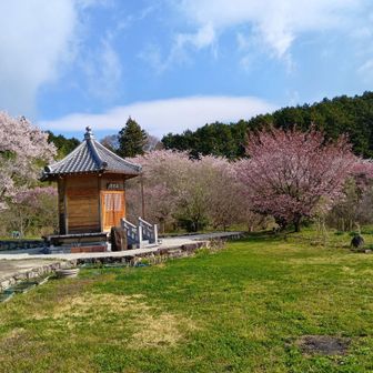 振り返って何度も撮影