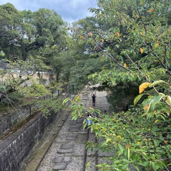 南禅寺参道口からインクライン見下ろしてゴール。最後までご覧くださりありがとうございます🙇‍♂️