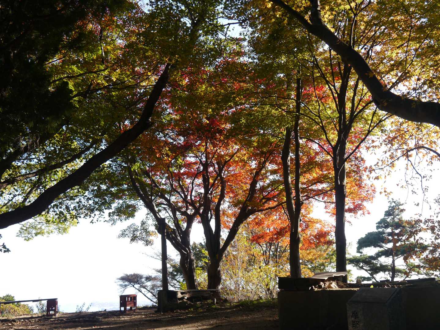 摩耶山青谷道登山口-摩耶山-忉利天上寺-上野道登山口 周回コースの写真