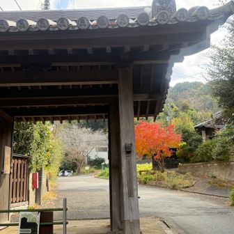 良い風情だなぁ…なんで歩いてたら…
向かいから来たご婦人達に『あら、山の上を歩いて来たの？獅子舞見に行ったのね？今の時期は良かったでしょ〜🍁』なんて声を掛けられた…🙃そんなしてたら奥様が『そう言えばどこかに獅子舞って書いてあったよ？』と…ココで初めて有名スポットである事を教えて貰った…