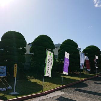 小倉から中津まで54キロ 北九州-中津ウオーキング大会2018 / ssの
