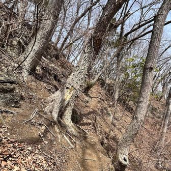 滑る急斜面のトラバース。ちょっと怖かった…