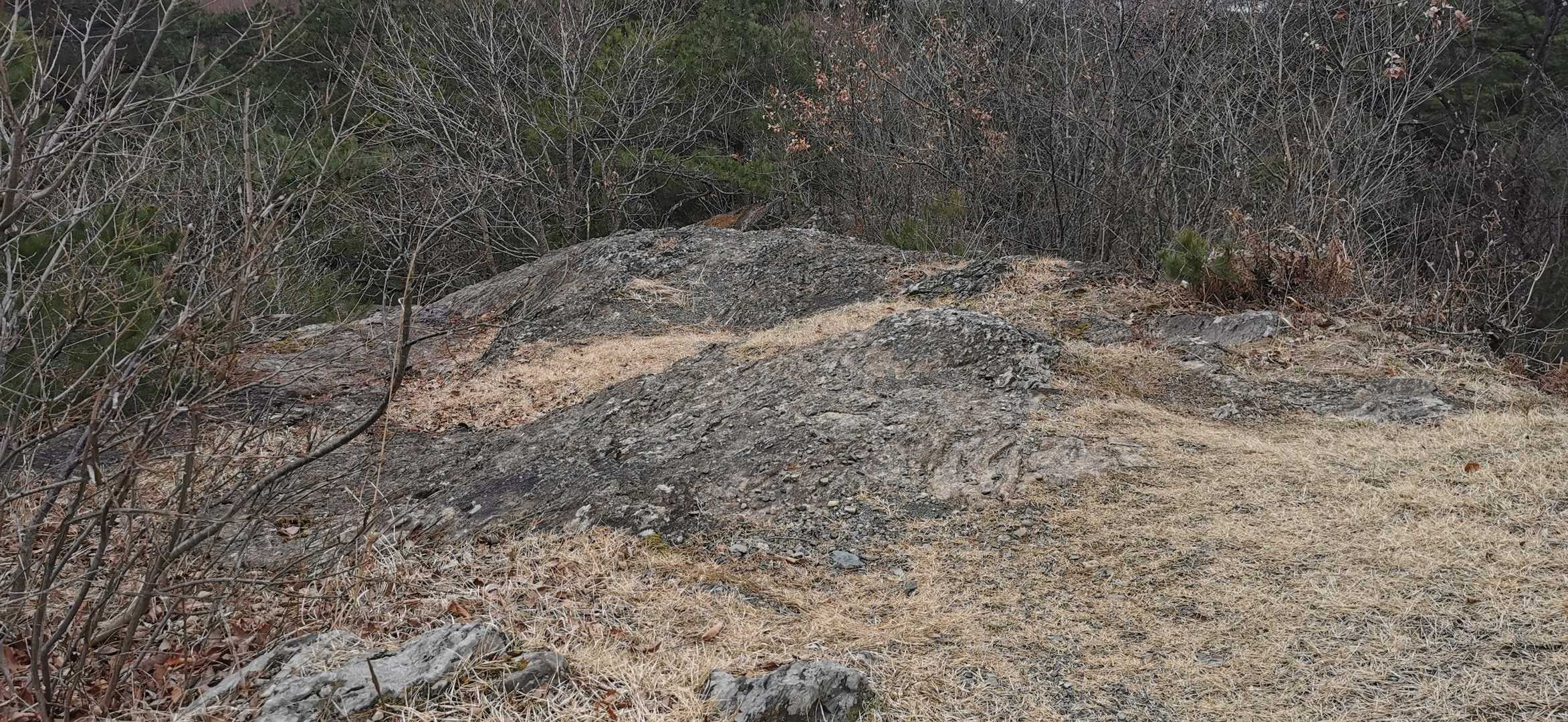 その後ろ、地面が岩だった。あれ？どっから降りてくの？行き止まり？今日は普通の格好だから藪漕ぎしたくない💦とちょっと焦る。右手に細く道があった。