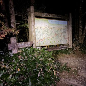 この時間でも意外と歩いてる人がいました！