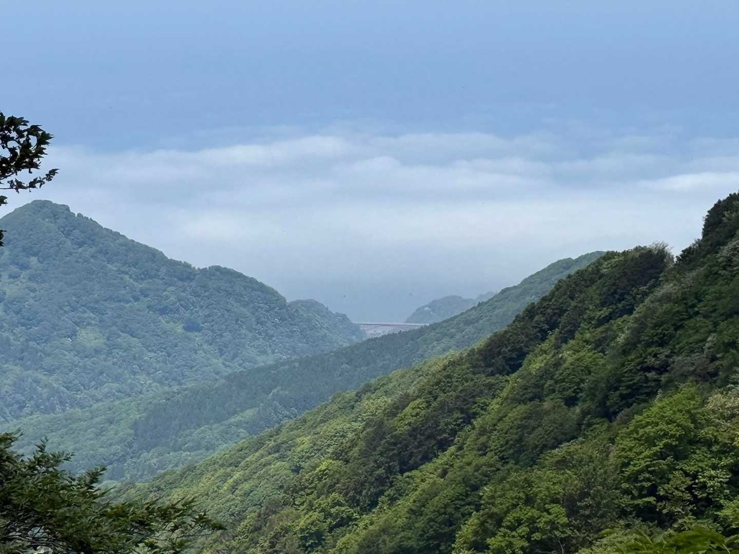 遠くに米山大橋