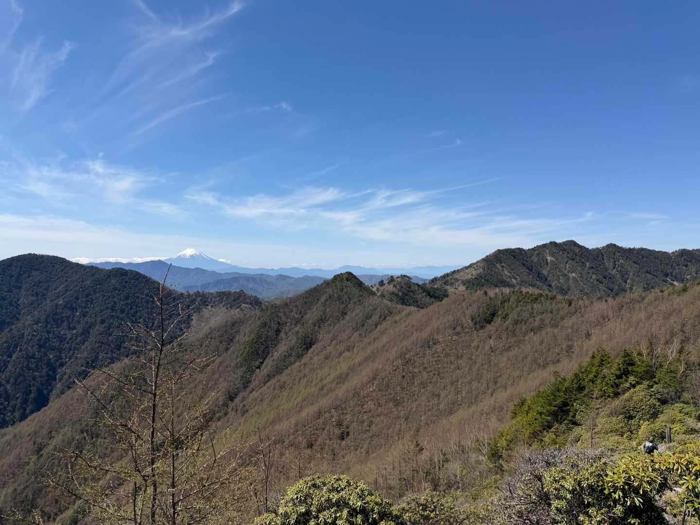 三ノ瀬登山口-東仙波-和名倉山 往復コースの写真
