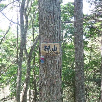 砥山1904ｍ
グレーピークのおまけ
こっちにも市営駐車場があった