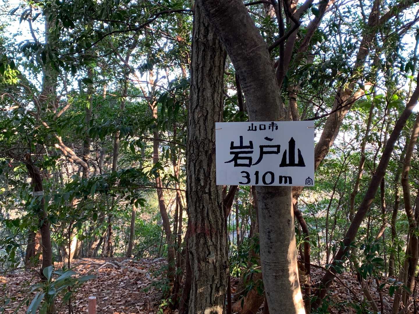 その場で作成し設置