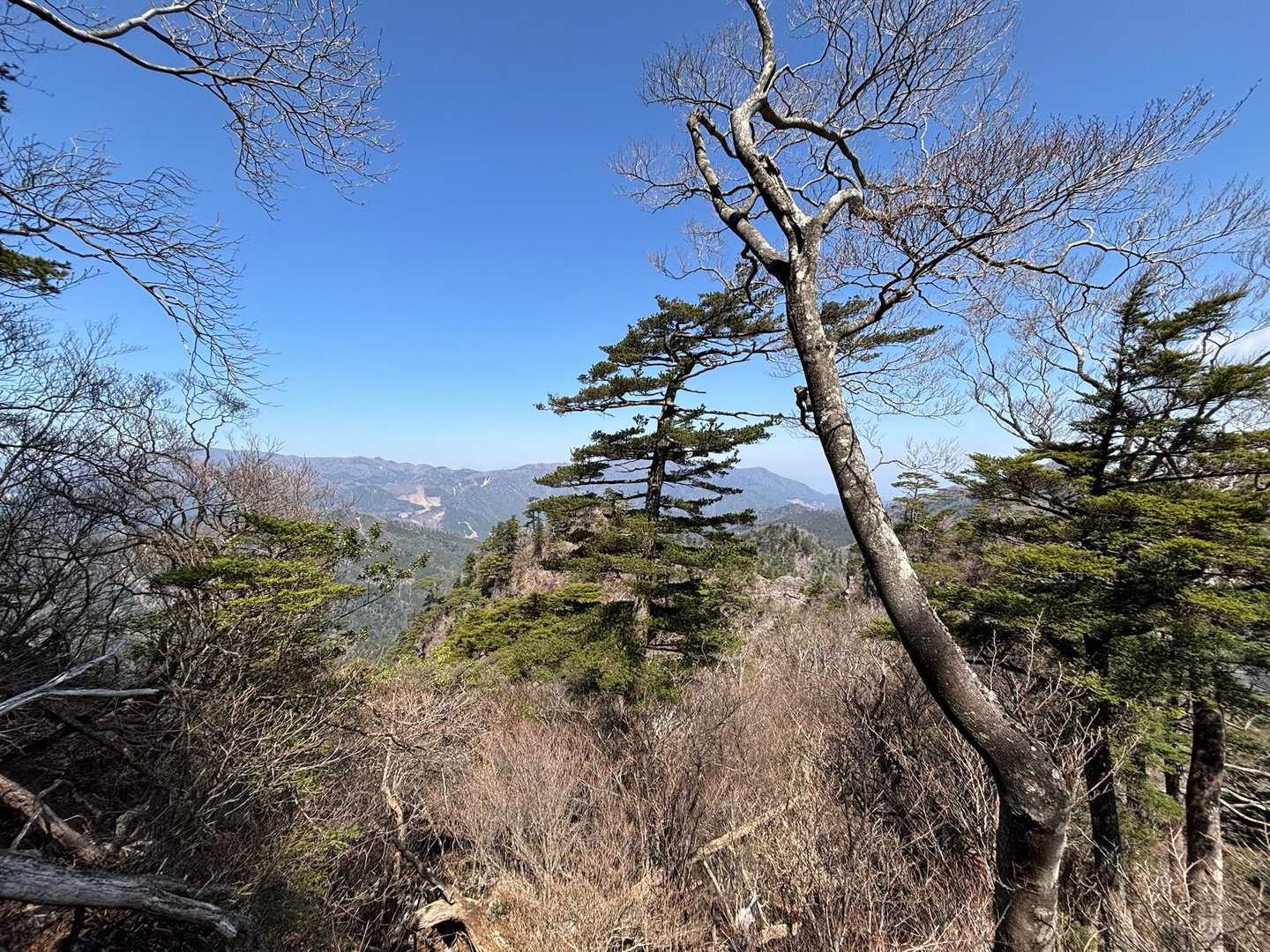 良き眺め
