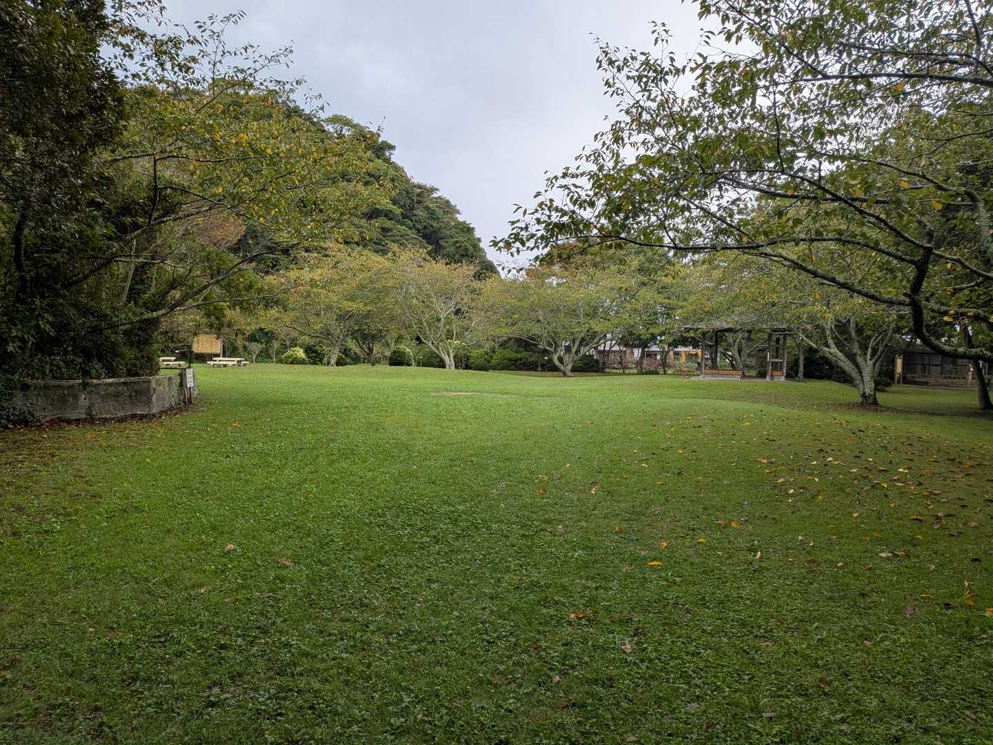 野鳥の森のゲートが9時に開くのです。
待ってる間ずっと雨。
この近辺だけ何故か雨降ってて何でよ！？と言いながらもお喋りは止まらず🤣