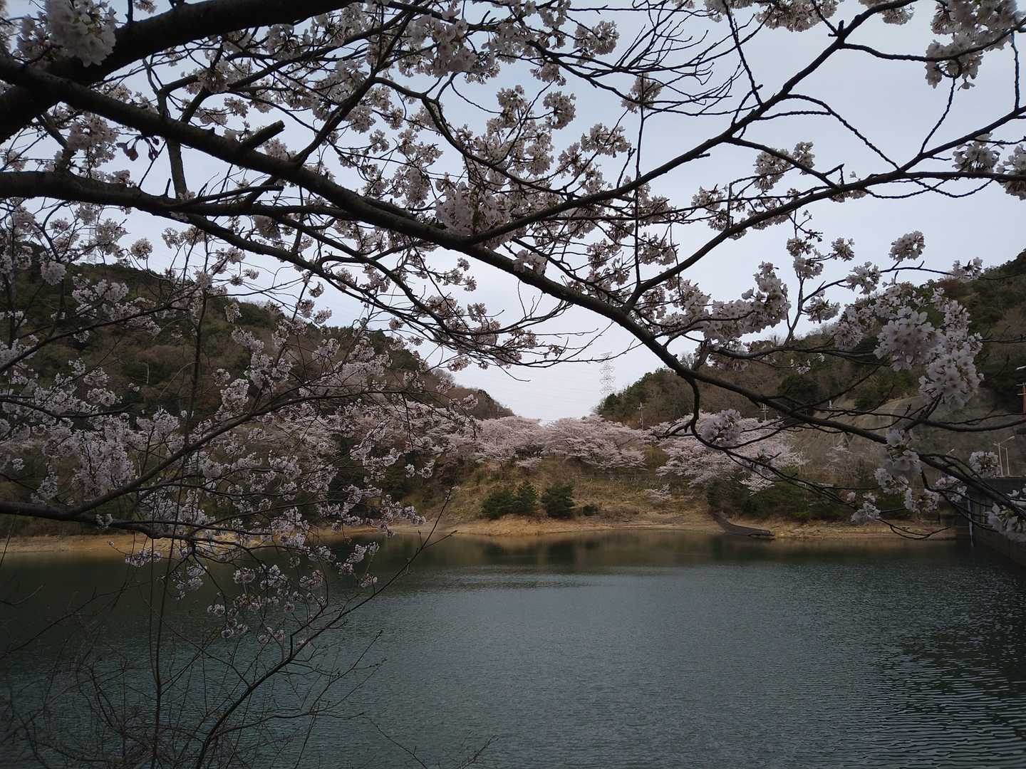 雨山 周回コースの写真