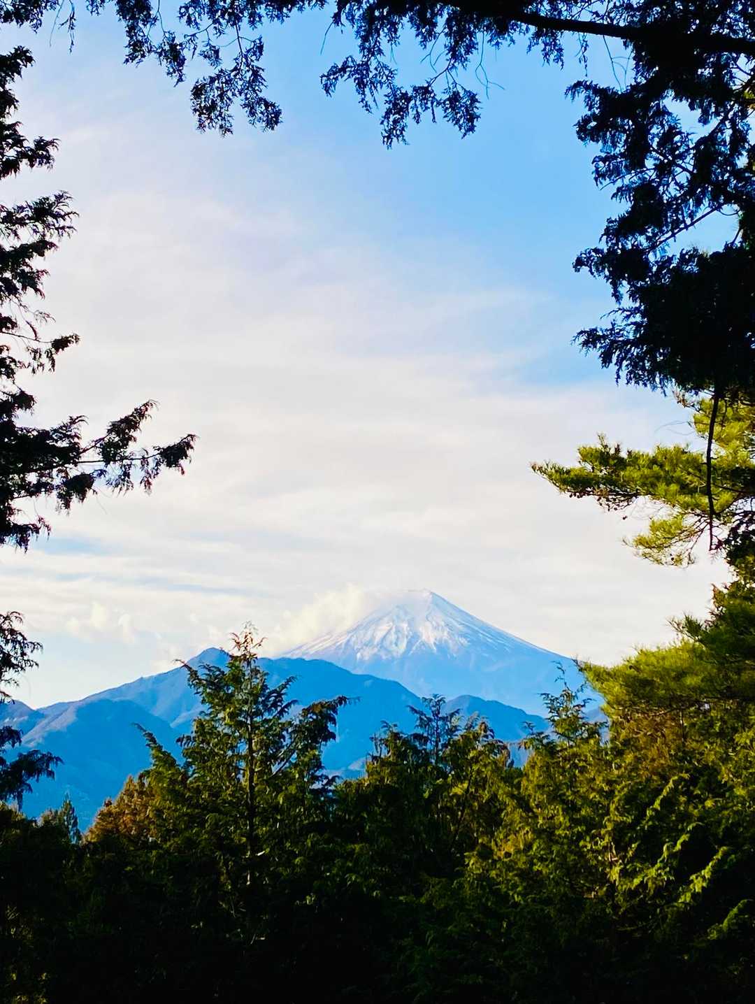九鬼山 往復コースの写真