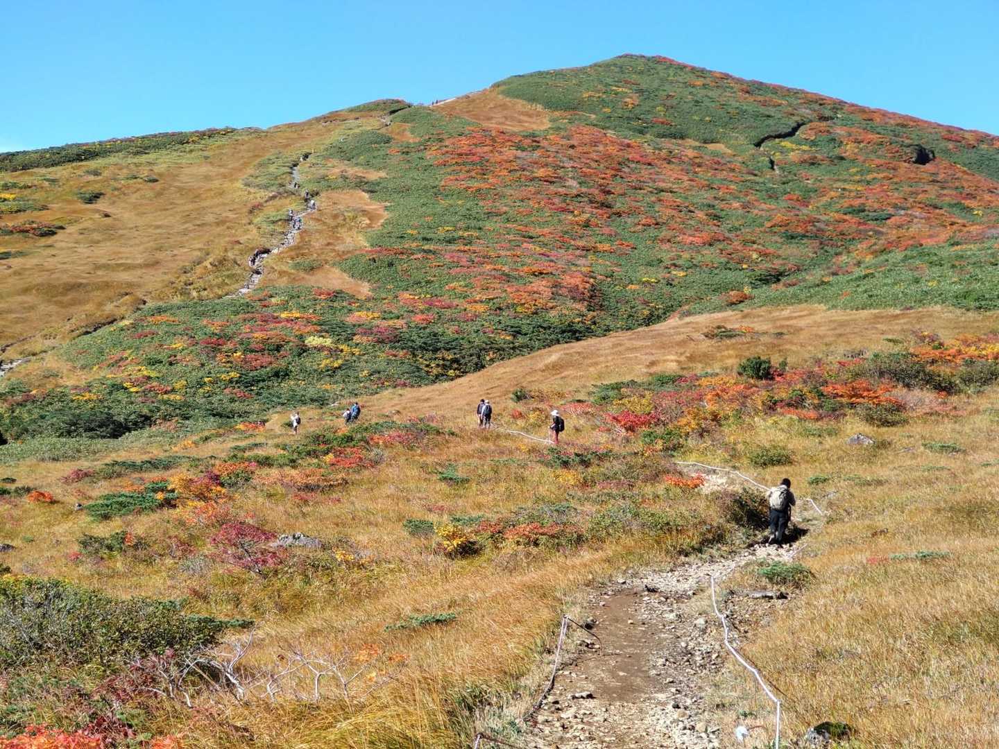 栗駒山 | 神の絨毯と称される圧倒的な紅葉美、山全体を染める極彩色のパノラマの写真