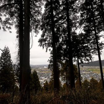 こんな感じです