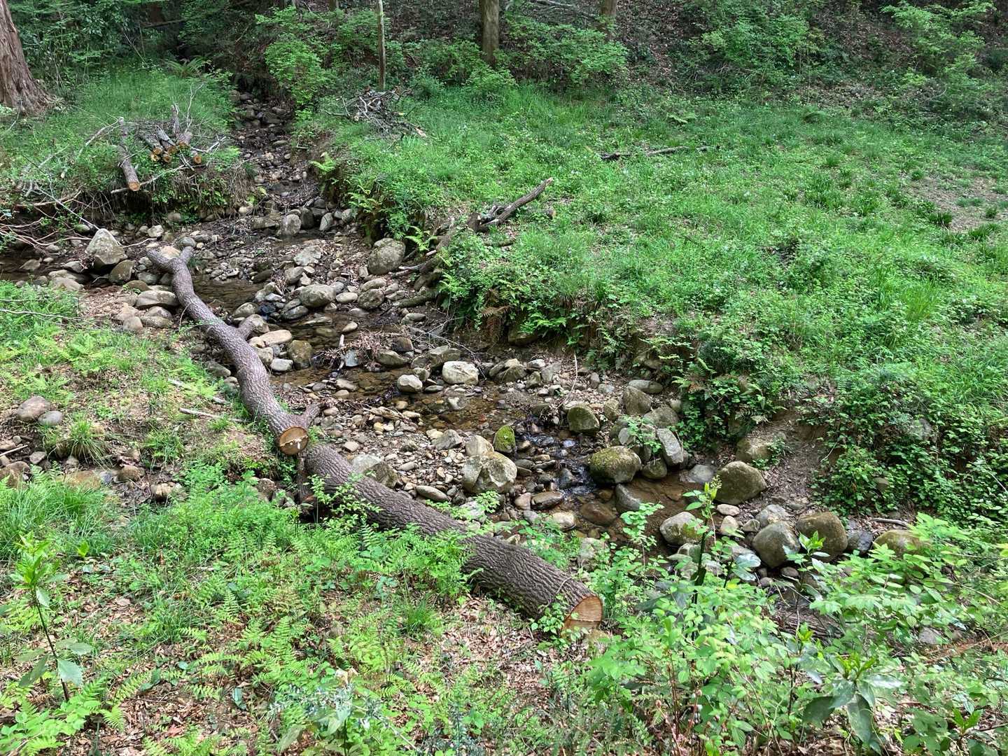 小川も流れてます。