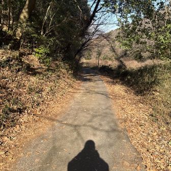 『登山口にワープアウト反応！』
戻ってきたのでロードを歩いて💨