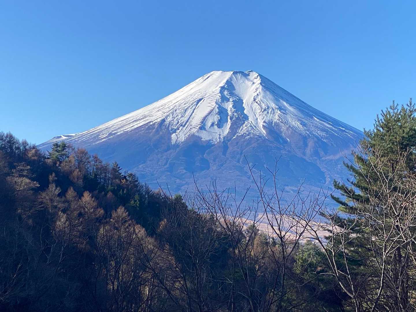 杓子山 | ポップな山名標識に吊るされた天空の鐘が響く頂。富士絶景の山梨百名山の写真
