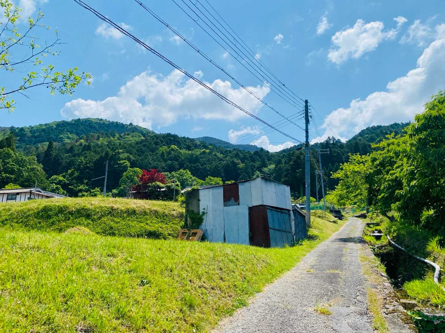 歌垣山登山口バス停-歌垣山-かがいの広場 往復コースの写真