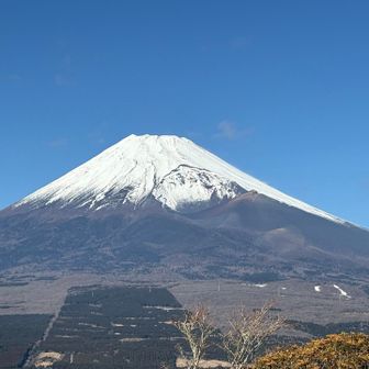 目に焼き付けておこう👀🗻