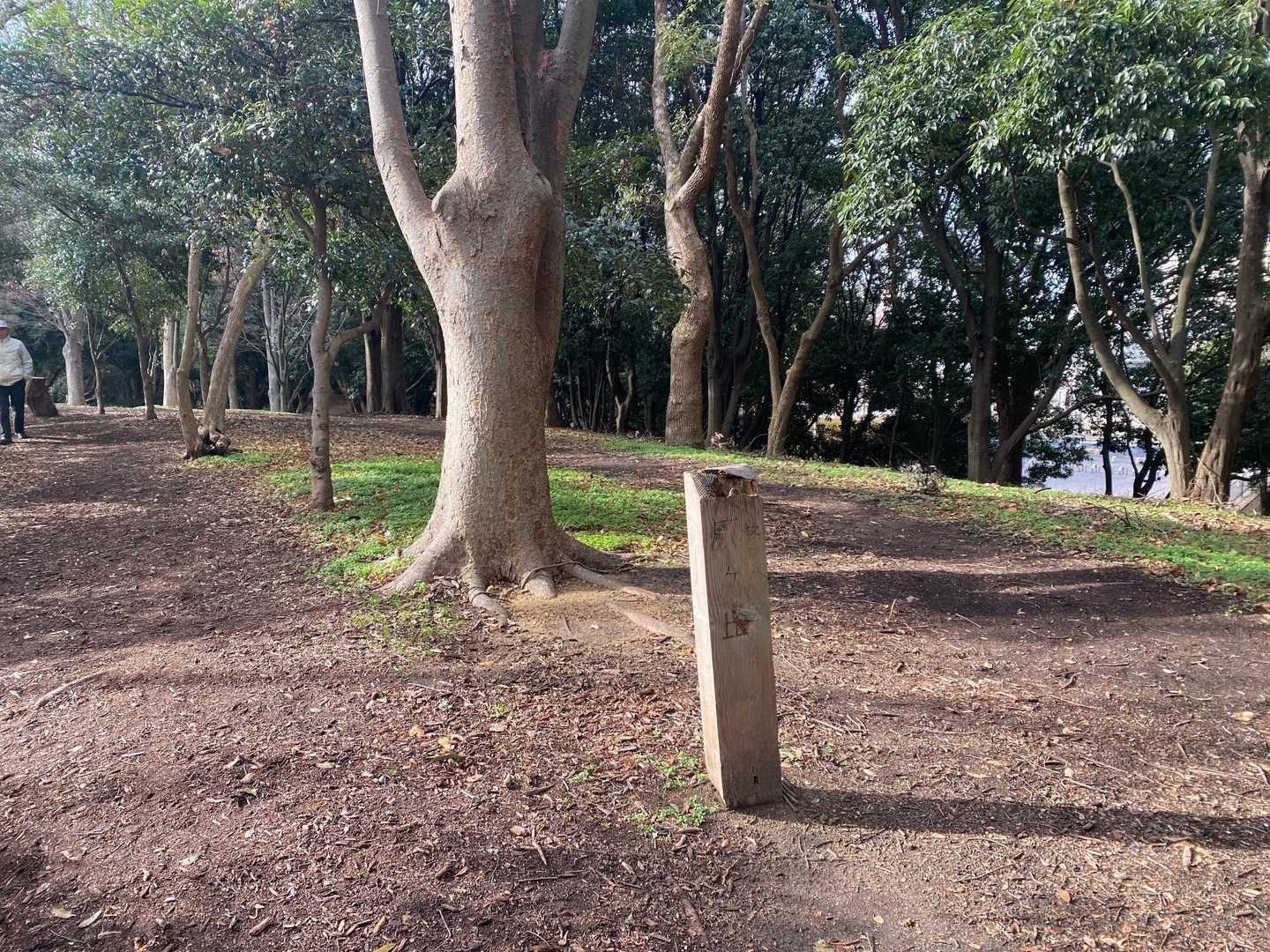 双ヶ丘