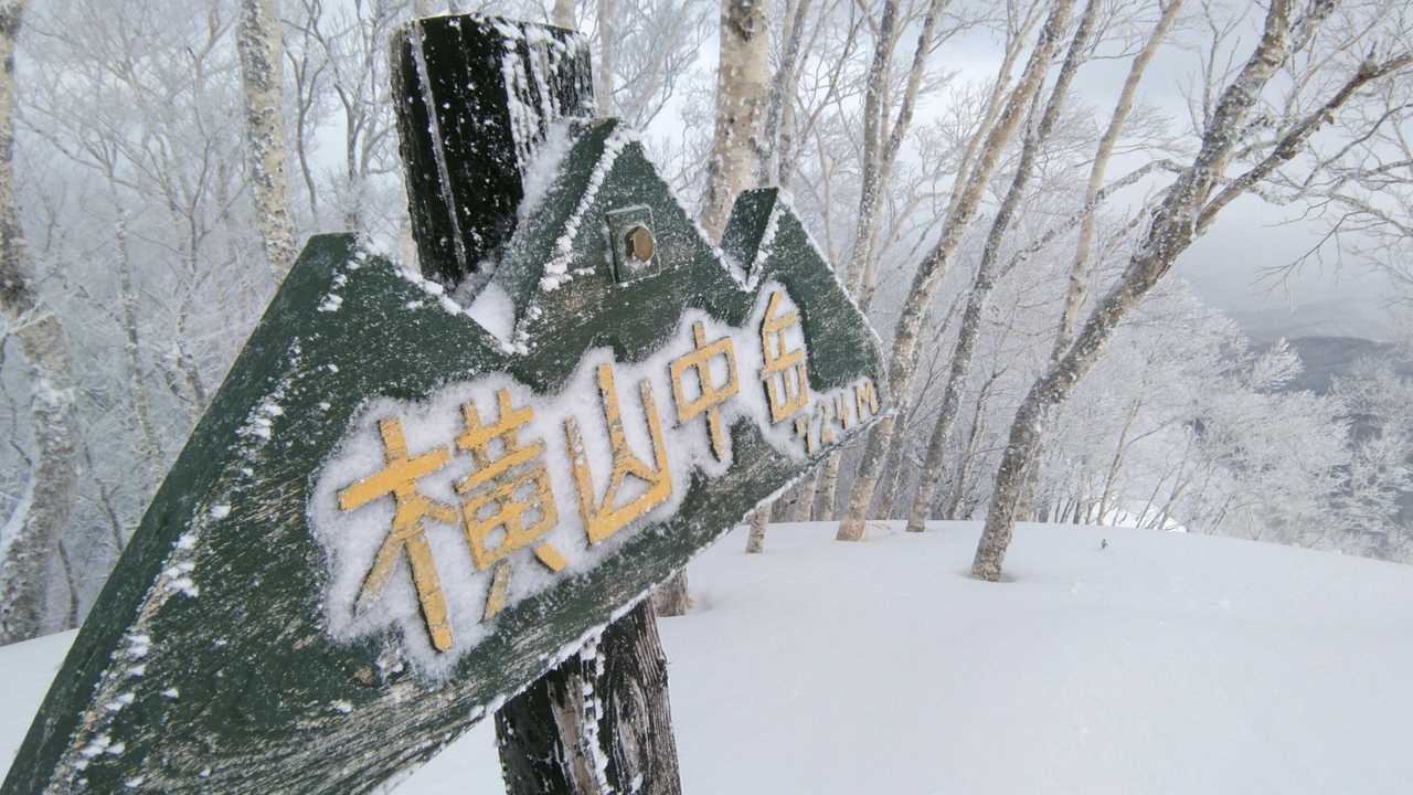本物は日記で見る以上にかわいかった山頂標識( ´,,•ω•,,`)💛