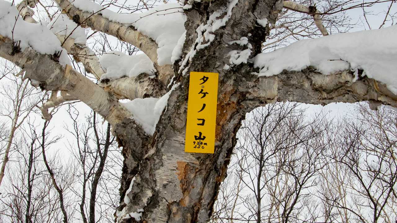 タケノコ山 タケノコ山の最新登山情報 / 人気の登山ルート、写真、天気など