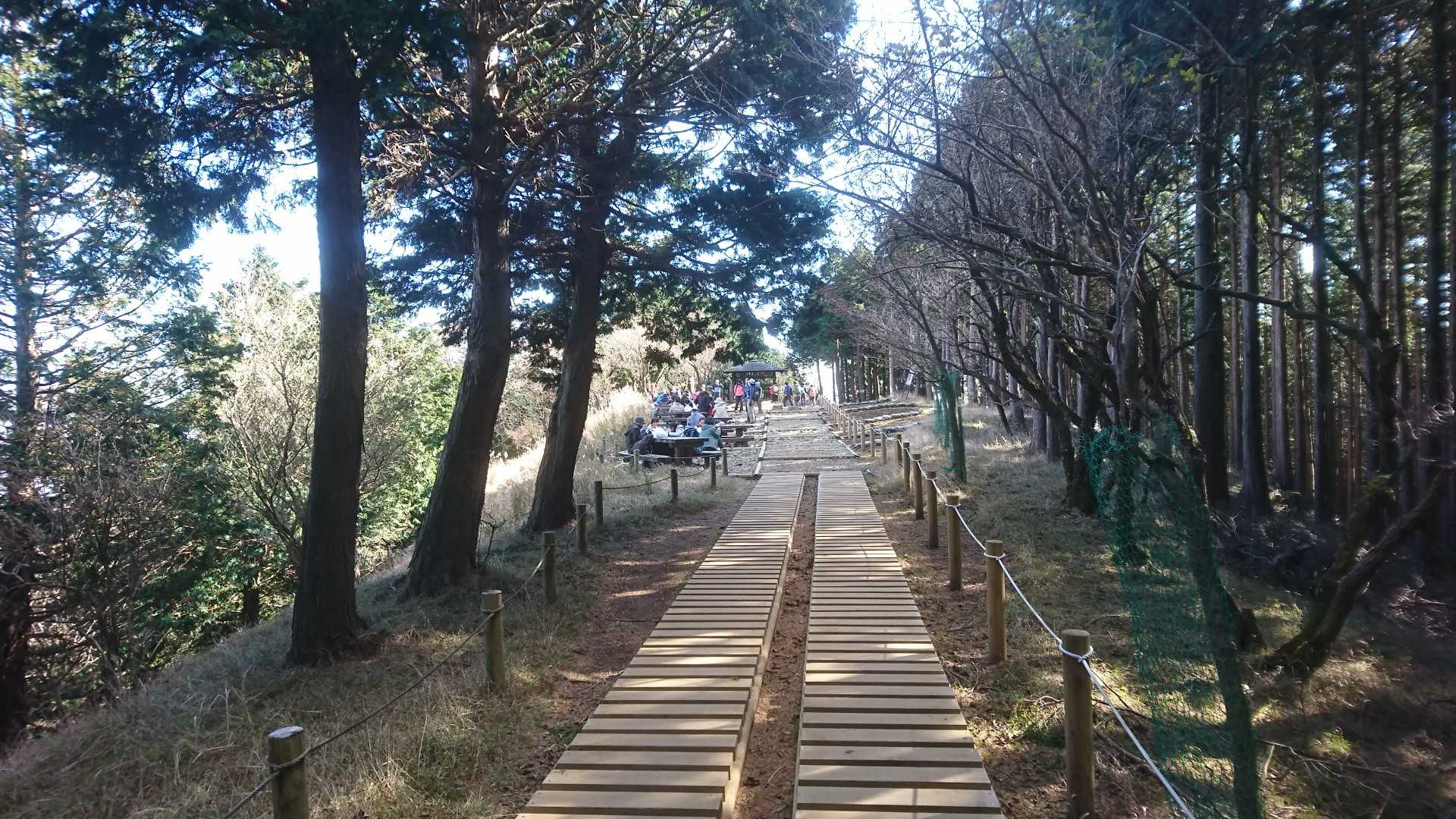 見晴台は混雑してた。