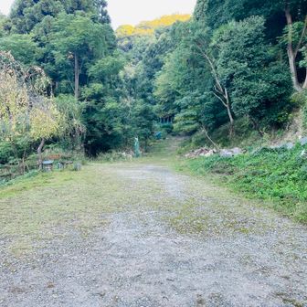 炭焼き小屋コースと書いてあった