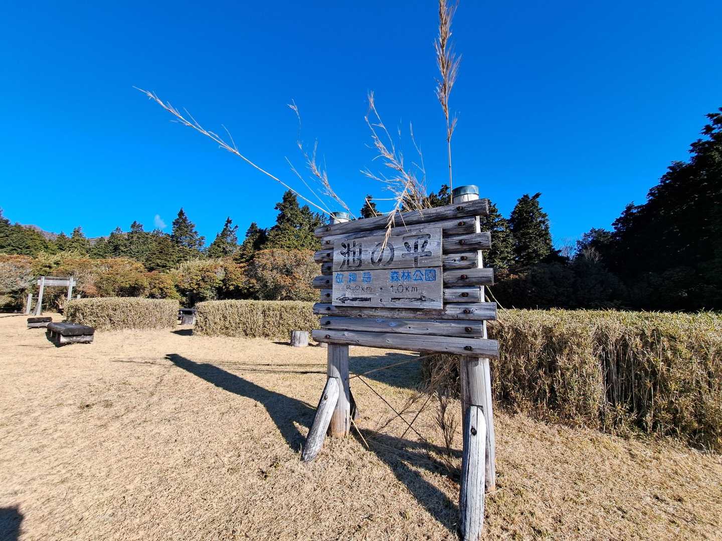 良い感じの場所です🍀