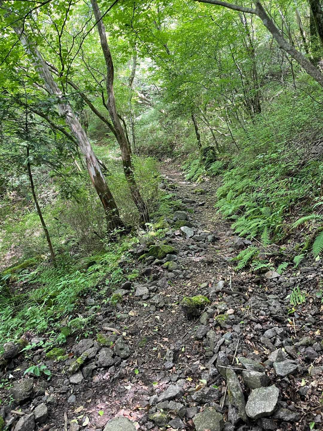 ほぼ一本道で道には迷わない。