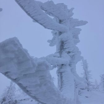 さすが蔵王
長ーい