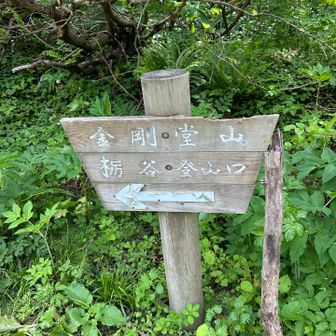 いざ