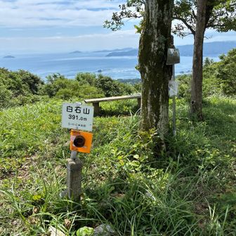白石山登頂
八幡浜からのフェリーが丁度入ってきていた