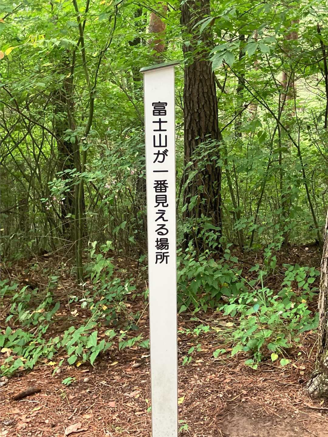 下山時に、
富士山が一番見える場所と書かれたところからも富士山を探しました。