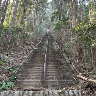 ながーい階段。
カリン塔のよう。