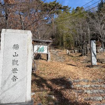 観音堂方向に下ってから、猫山の全ルートを制覇しつつ6回登る😆