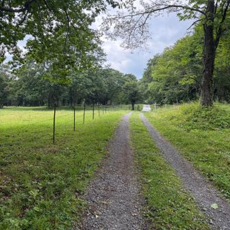 牧場見えて、やっと弥勒尾根新道の樹林帯の長い下りが終わった🙌 あとは平地を駐車場までひたすら歩く